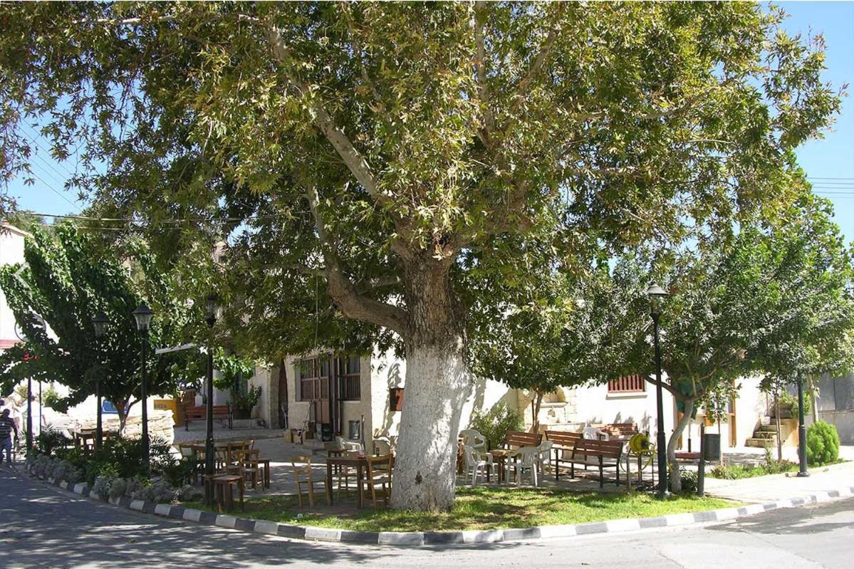 Avalon Village Houses 利马索尔 外观 照片