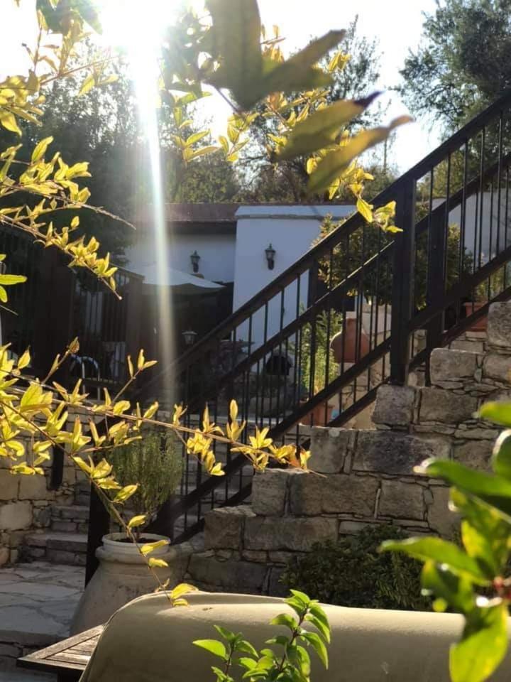 Avalon Village Houses 利马索尔 外观 照片